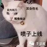 怎么就这么无聊!这些网友制作的沙雕生成器大合集我玩了一天
