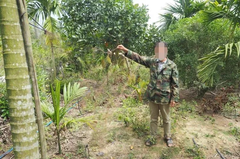 猎杀国家二级保护动物 、宰杀小松鼠放冰箱食用……海南一男子被刑拘!