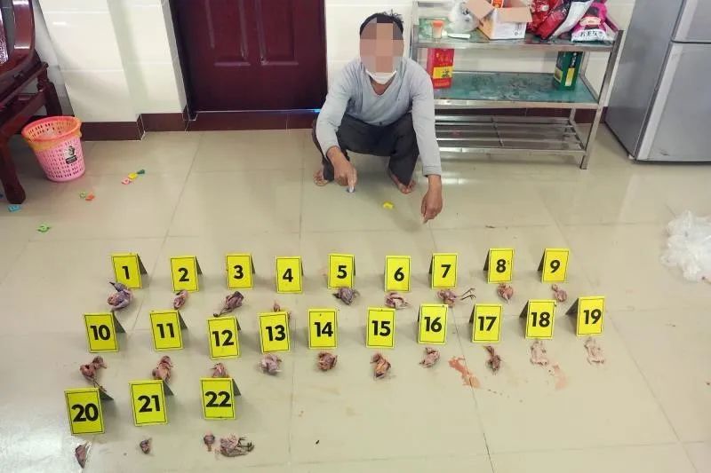 猎杀国家二级保护动物 、宰杀小松鼠放冰箱食用……海南一男子被刑拘!