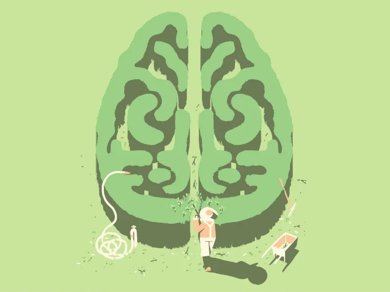 300年前的哲学问题,脑科学回答上了?