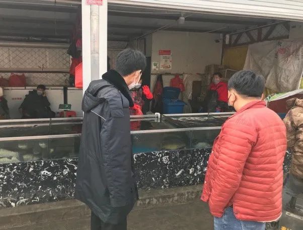 【疫情防控 野保专题】保护野生动物 西青区西营门街助力新冠肺炎疫情防控工作
