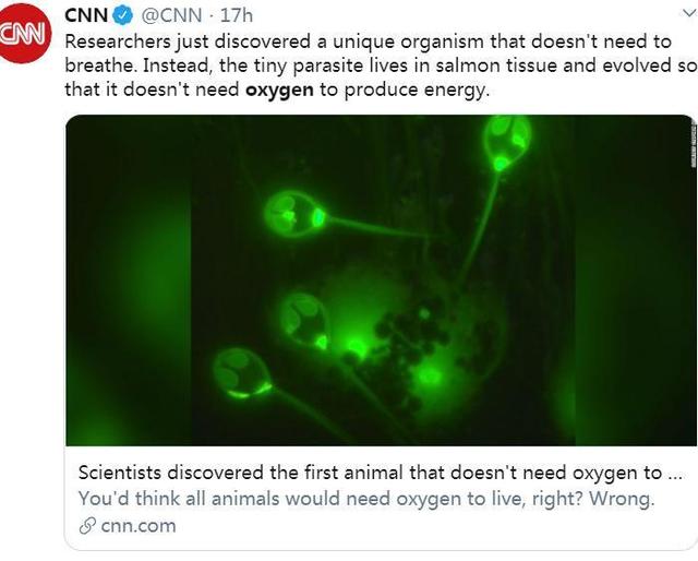 动物的定义将改写?科学家首次发现不靠氧气存活的生物