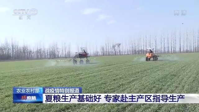 夏粮生产基础好 专家赴主产区指导生产