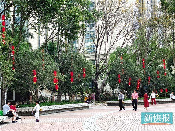 公园老人口罩_公园老人的龌龊图片