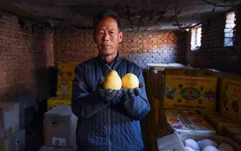 盘古镇内，许多梨农家中还有两三千斤梨。受访者供图