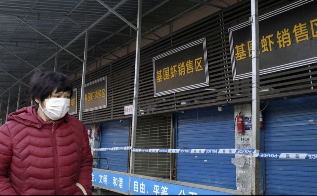 武汉肺炎始发地华南海鲜市场的照片,让人触目惊心!!