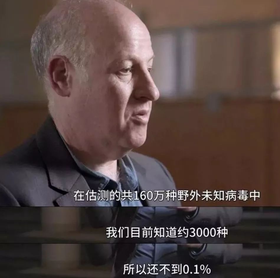 武汉肺炎始发地华南海鲜市场的照片,让人触目惊心!!
