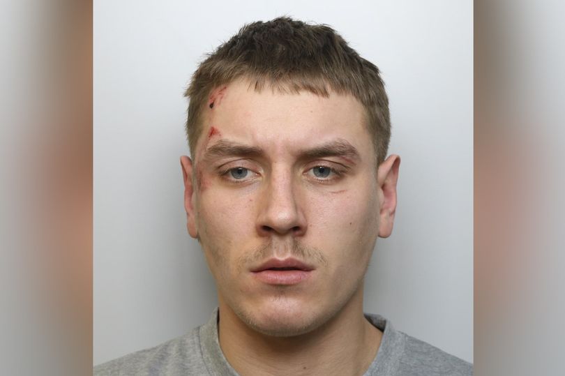 马提纳斯·贝诺申科（图片来源：《镜报》）