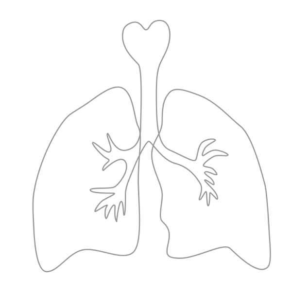最后一节课程,剩余部分主要是个肺的示意图   很简单,钢笔工具勾勒