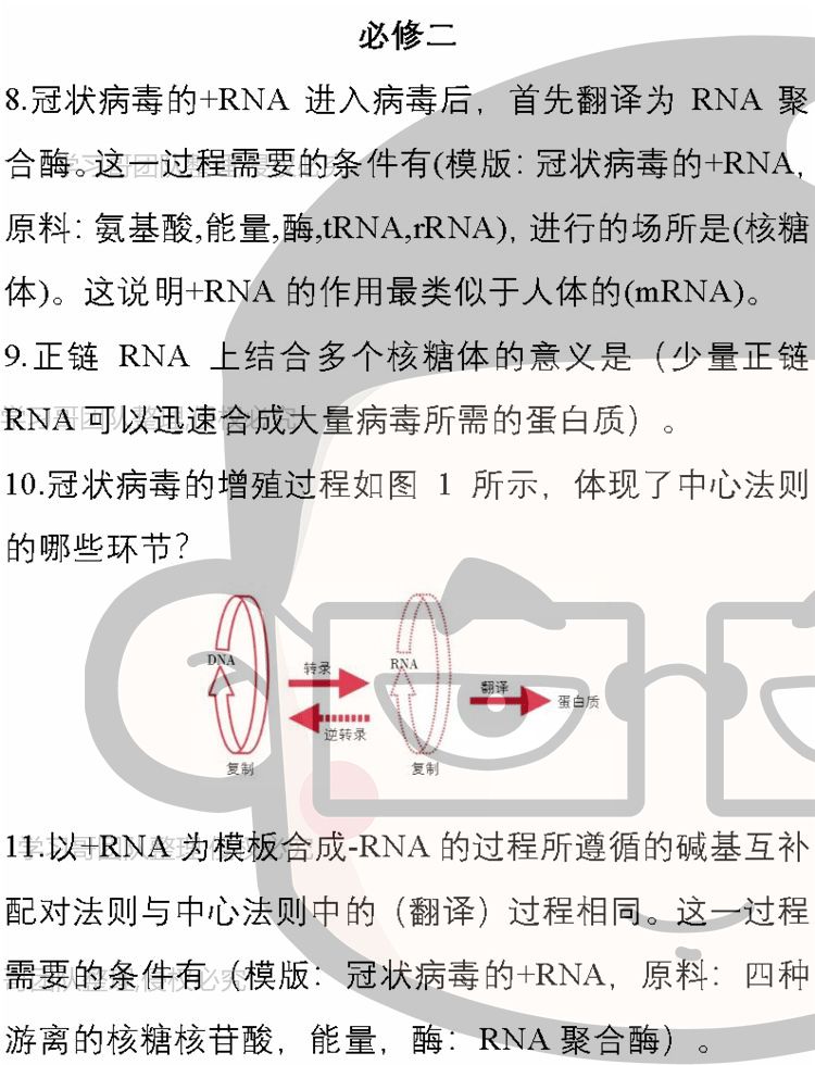 【重磅推出】新冠病毒相关高考考点及预测考题,强烈建议收藏!