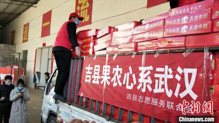 吉县果农将3万余斤一级苹果捐赠武汉医护人员。 吉县宣传部供图 摄