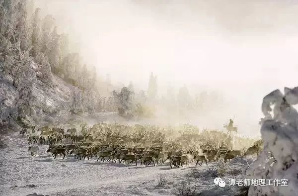 【考题预测】从驯鹿大迁徙看地理环境对动物的生存影响(附模拟考题)