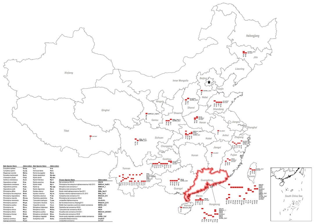 图|蝙蝠冠状病毒在中国的分布(来源:VIRUSES)