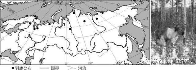 【考题预测】从驯鹿大迁徙看地理环境对动物的生存影响(附模拟考题)