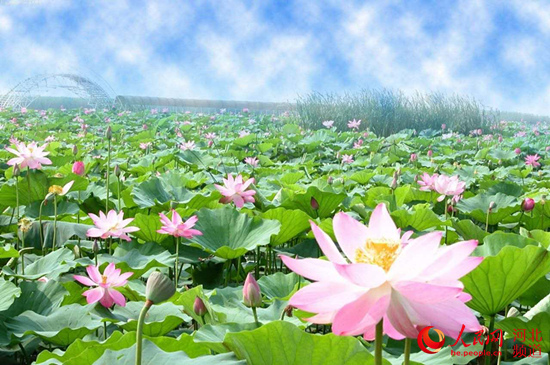 「疫情」上下同心蓄力储能 助推河北旅游业加快复苏