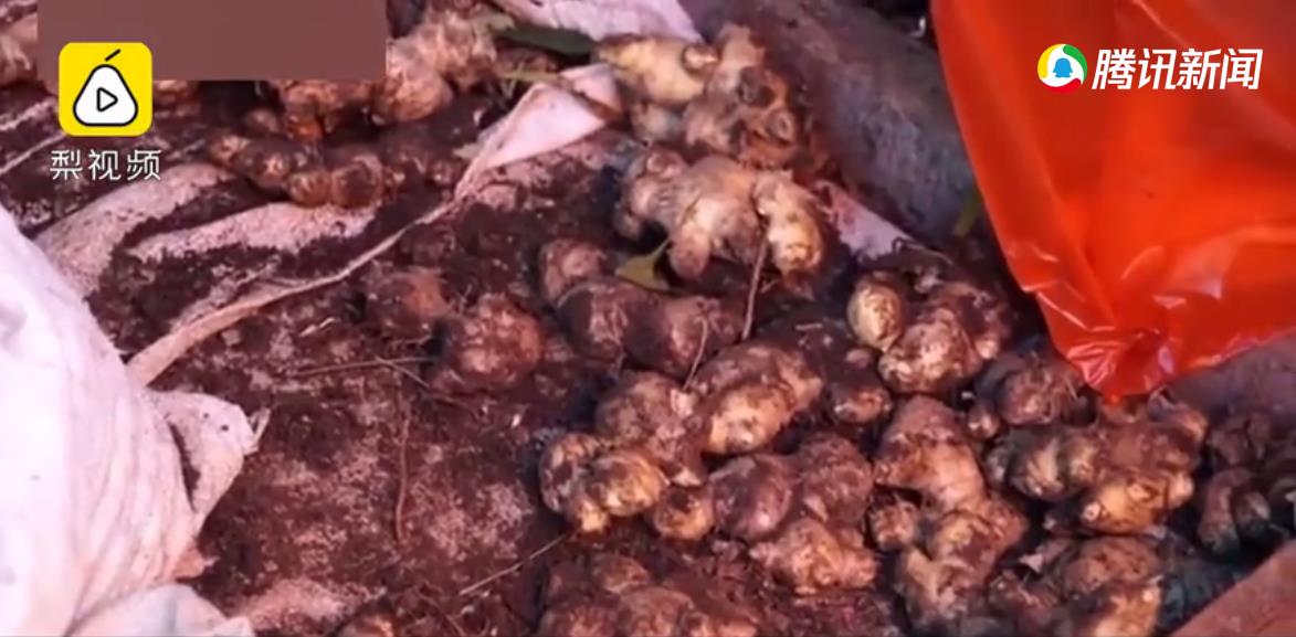 印尼人因新冠肺炎大量抢购生姜，短短几天价格