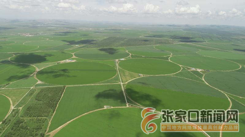 东圃塞人口_东圃寨凯旋门图片