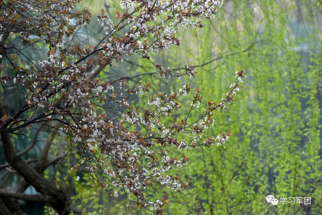 因为有你 我们在隔离病房“遇见”最美的春天…