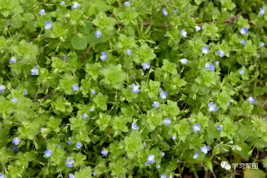 因为有你 我们在隔离病房“遇见”最美的春天…