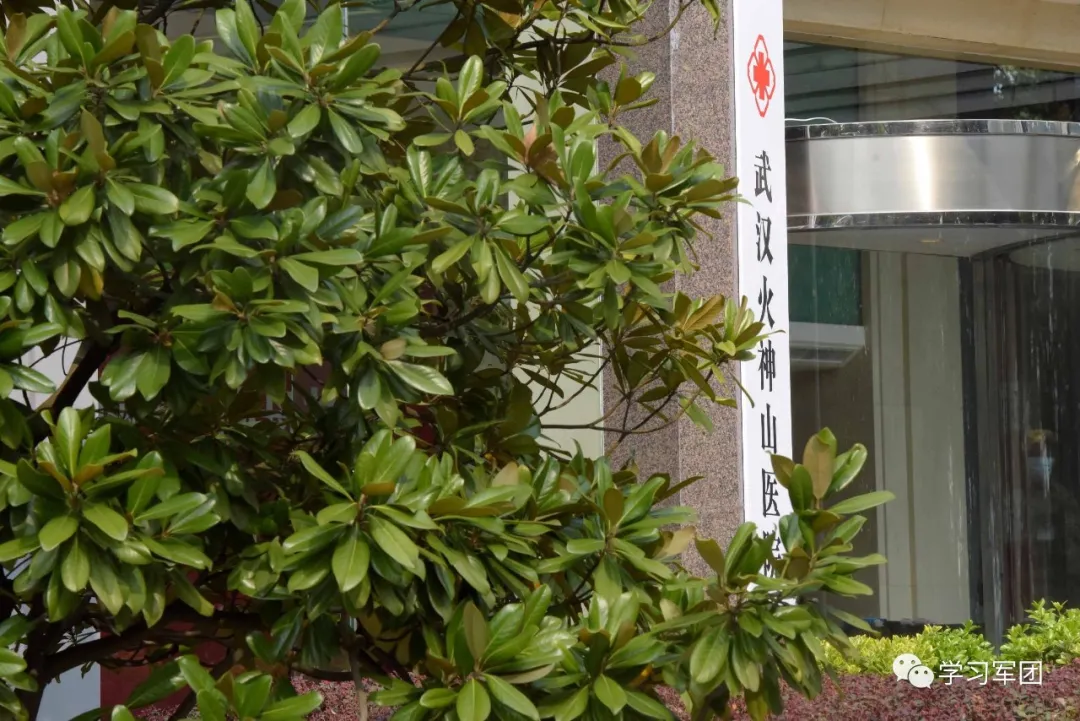 因为有你 我们在隔离病房“遇见”最美的春天…