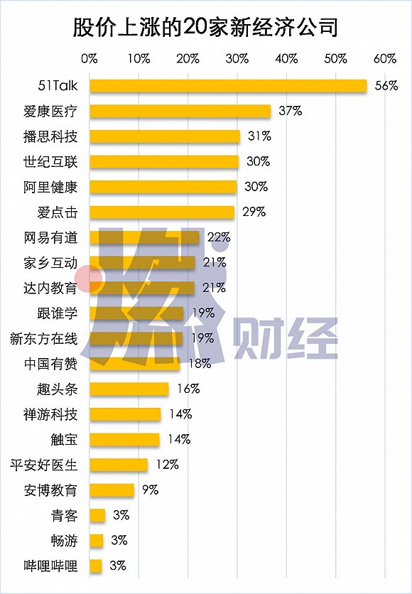  股价上涨的20家新经济公司