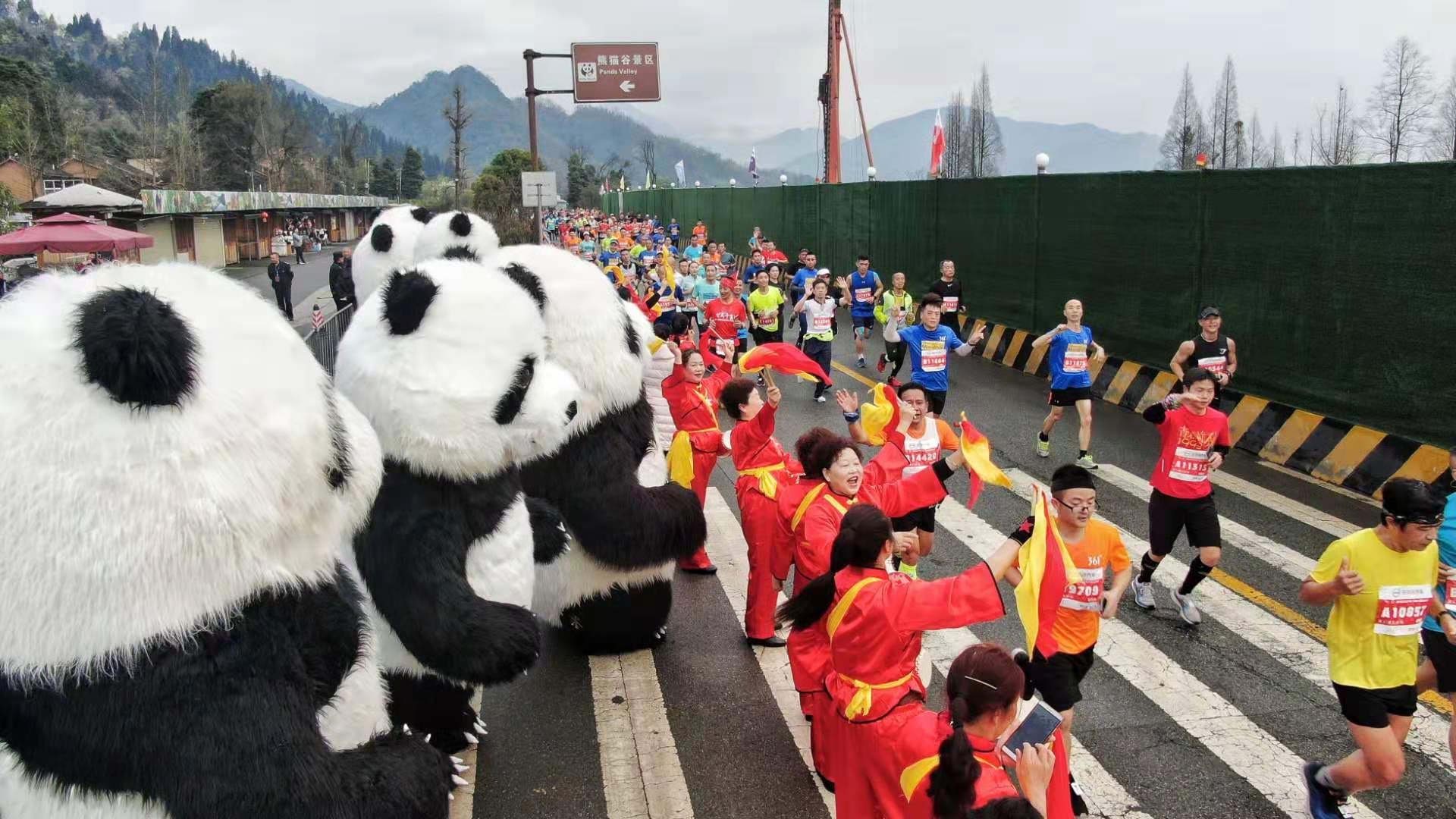 现在办赛是太大胆还是提士气？都江堰千人健康跑