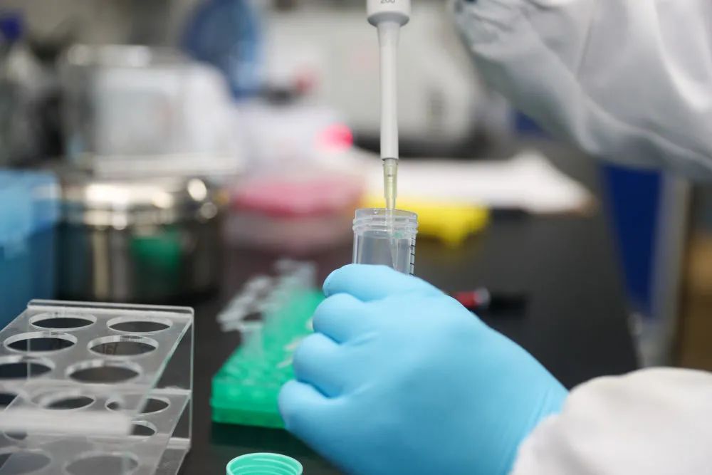 什么是流感疫苗亚单位 b1e1-iqyrykv2459733.jpg