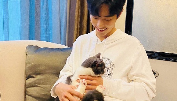 沉默不能解决问题 肖战必须为粉丝的行为“买单”