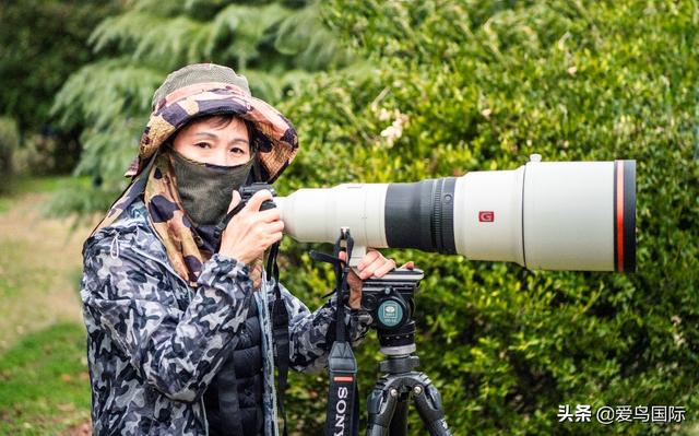 轻快捕捉曼妙生境 索尼Alpha 9+SEL600F40GM试用体验