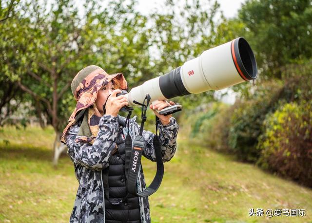 轻快捕捉曼妙生境 索尼Alpha 9+SEL600F40GM试用体验