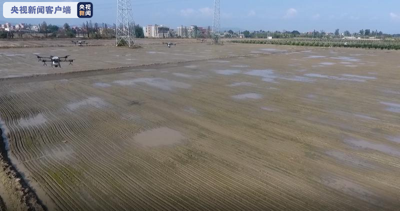 广东3200万亩农田开始春耕 今年增120万亩高标准农