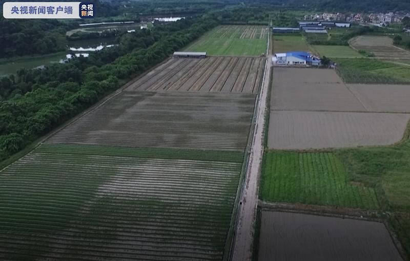 广东3200万亩农田开始春耕 今年增120万亩高标准农