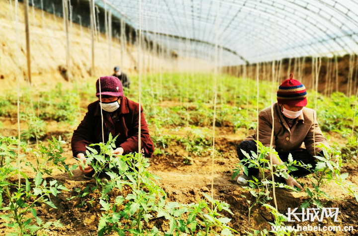 和静县有多少人口 间百科百度_百度识图在线识图