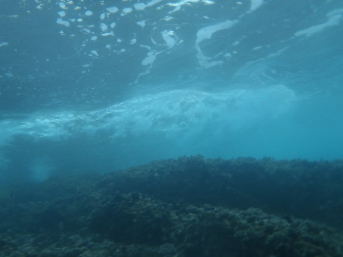 研究称水下“雪崩”将微塑料废弃物转移到深海中(图1)