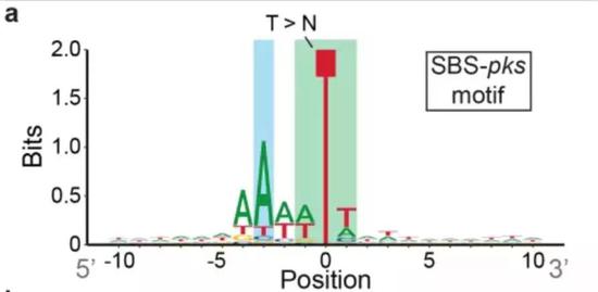 英国的人口来源和构成_英国人口(2)