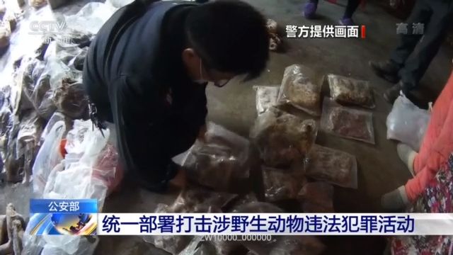 公安部统一部署，侦办涉及野生动物刑事案件9