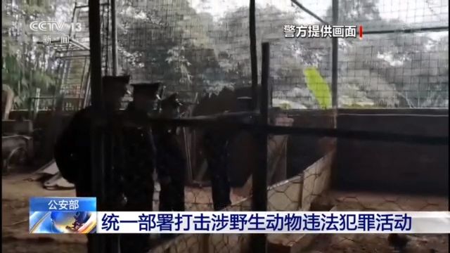 公安部统一部署，侦办涉及野生动物刑事案件9