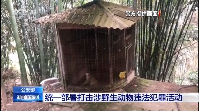 公安部统一部署，侦办涉及野生动物刑事案件9