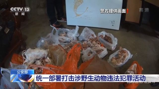 公安部统一部署，侦办涉及野生动物刑事案件9