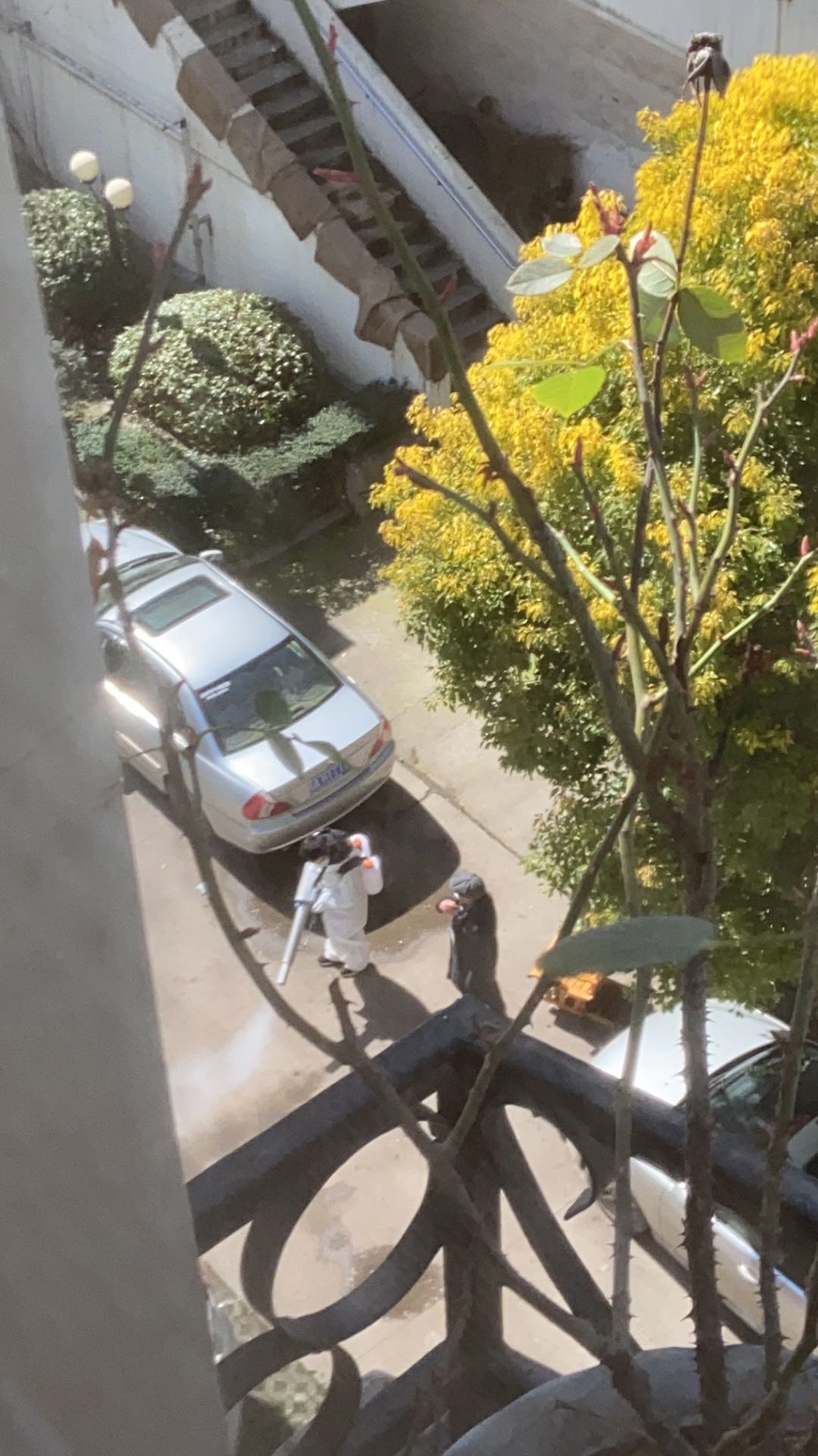 一个武汉小区想要消毒