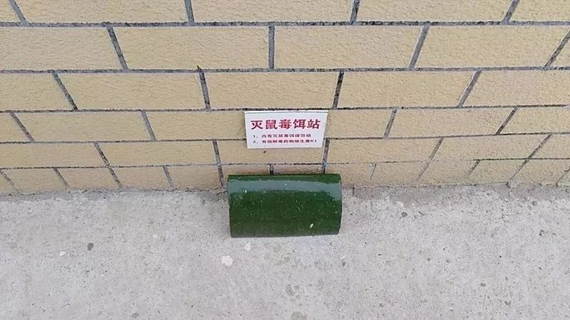 【提示】春季灭鼠正当时，来看防鼠灭鼠攻略→