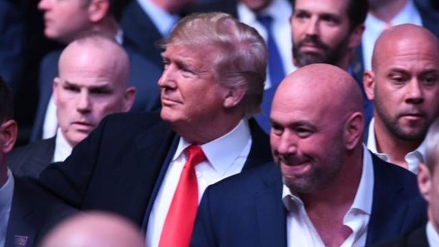 平头哥老总_平头哥图片(2)