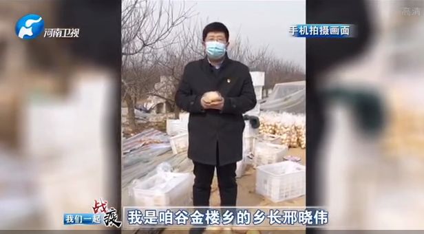 我是咱谷金楼乡的乡长邢晓伟.