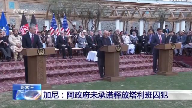 阿富汗内政部:过去一天里 塔利班发动了33次袭