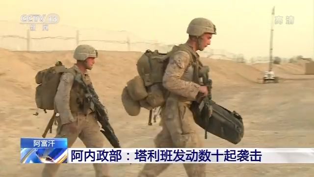 阿富汗内政部:过去一天里 塔利班发动了33次袭