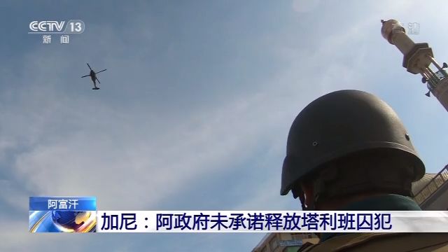 阿富汗内政部:过去一天里 塔利班发动了33次袭