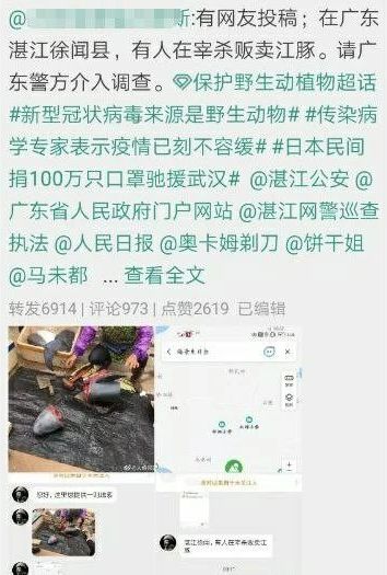 以动物为角色设计灵感的《明日方舟》,真的开始保护动物了