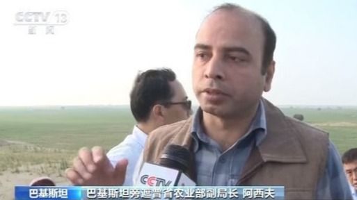 中国专家赴巴基斯坦实地考察:处理虫卵成难题