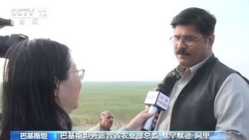 中国专家赴巴基斯坦实地考察:处理虫卵成难题
