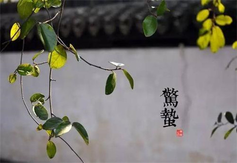 今日惊蛰!2020惊蛰是几点几分 惊蛰有哪些习俗禁忌?惊蛰节气朋友圈说说精美图片大全